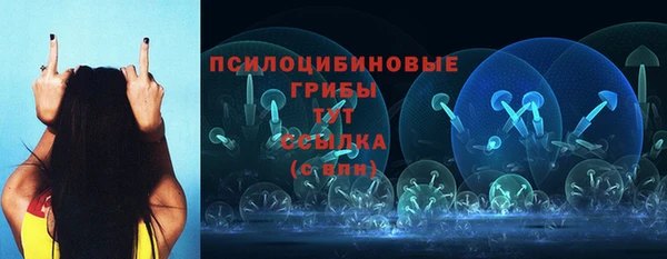 спайс Майский