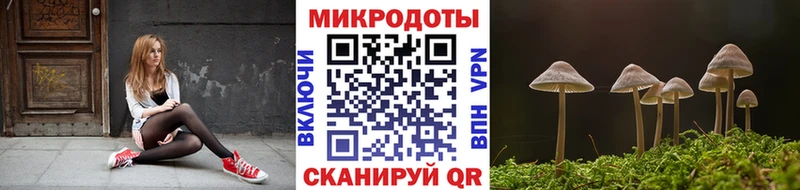 Купить где  Ардатов  Галлюциногенные грибы GOLDEN TEACHER 